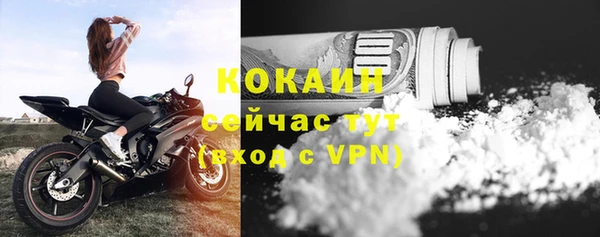 хмурый Кодинск