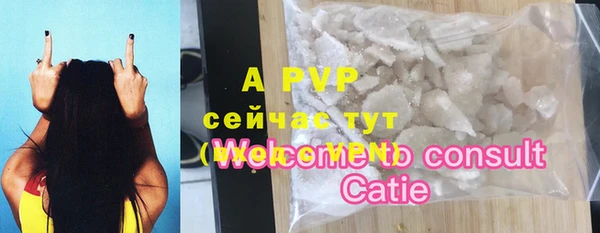 хмурый Кодинск