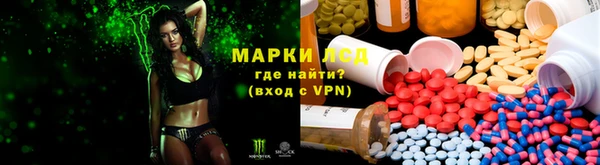хмурый Кодинск