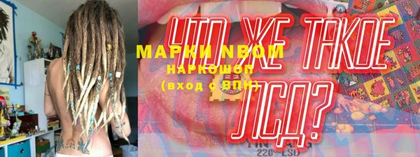 амф Козловка