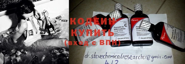 apvp Каменка