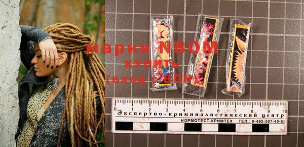 амф Козловка